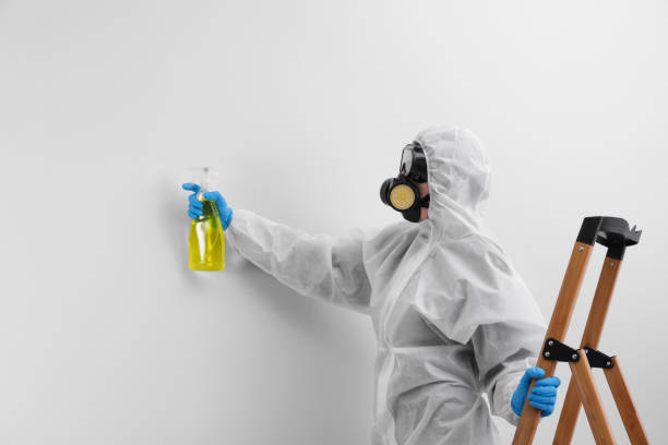 Best Forensic Mold Investigation in Wheat Ridge, CO